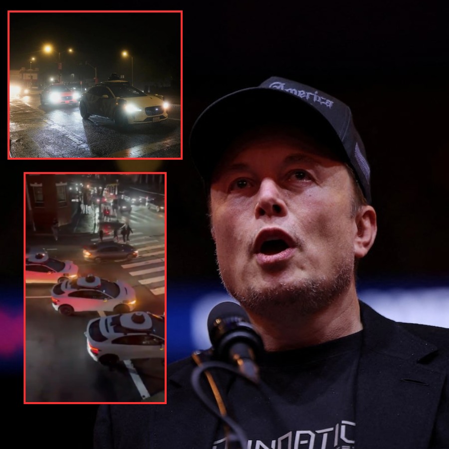 Witnessing Go:ogle’s self-driving taxi crash in the middle of the road, Elon Musk gloated: “Tesla’s top-of-the-line vehicle is completely undamaged.”