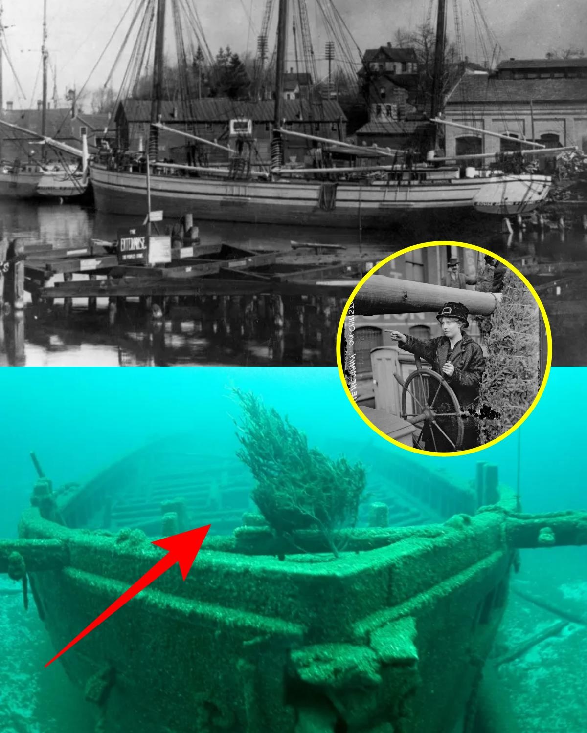 The ship carrying the Christmas tree never reached its destination. Before the twinkling lights illuminated the holiday season, people awaited another sign…