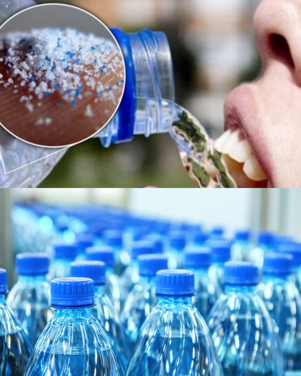 If You Drink Bottled Water Daily, You’re Eating 90,000 Microplastics a Year
