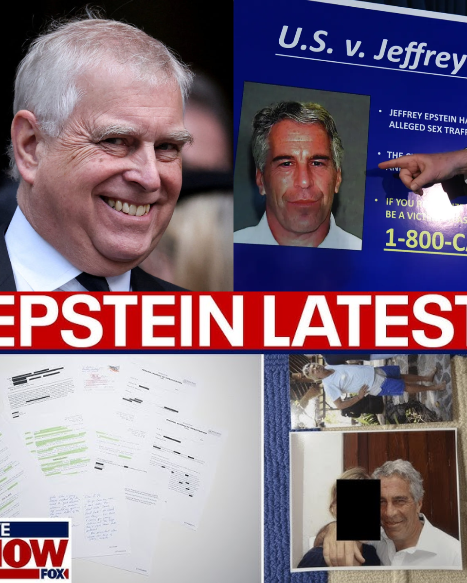 779 THE “CONCEALMENT” SCHEME IS EXPOSED: Andrew Windsor’s 20-Year File Suddenly Disappears After a Smear of Ink!