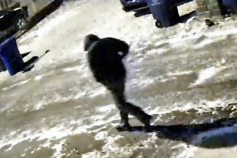 Shocking revelations across the US: Monique Tepe’s ex-husband sent numerous messages to the dentist couple to negotiate a settlement, but was always ignored