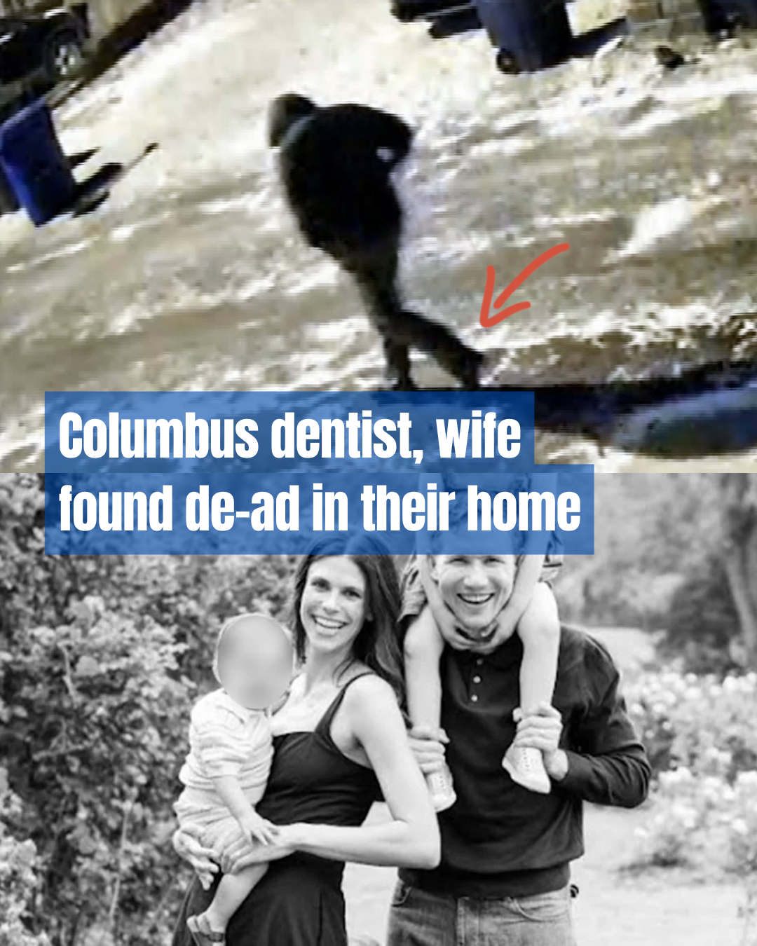 Video Captures the Moment the Suspect Killed a Dentist and His Wife — One Detail at the Feet Revealed Everything.