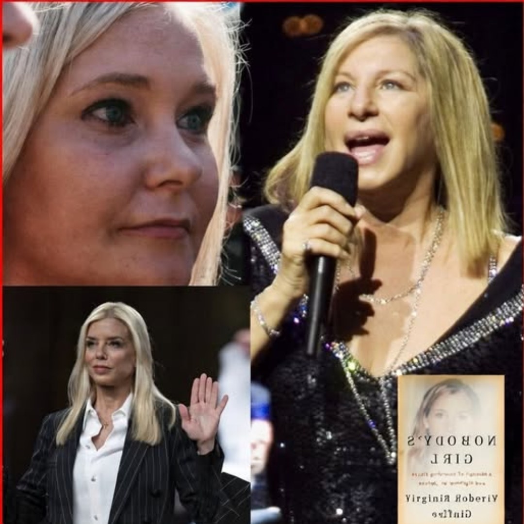 Barbra Streisand surprised everyone with a $133 million investment in Netflix for an investigative project