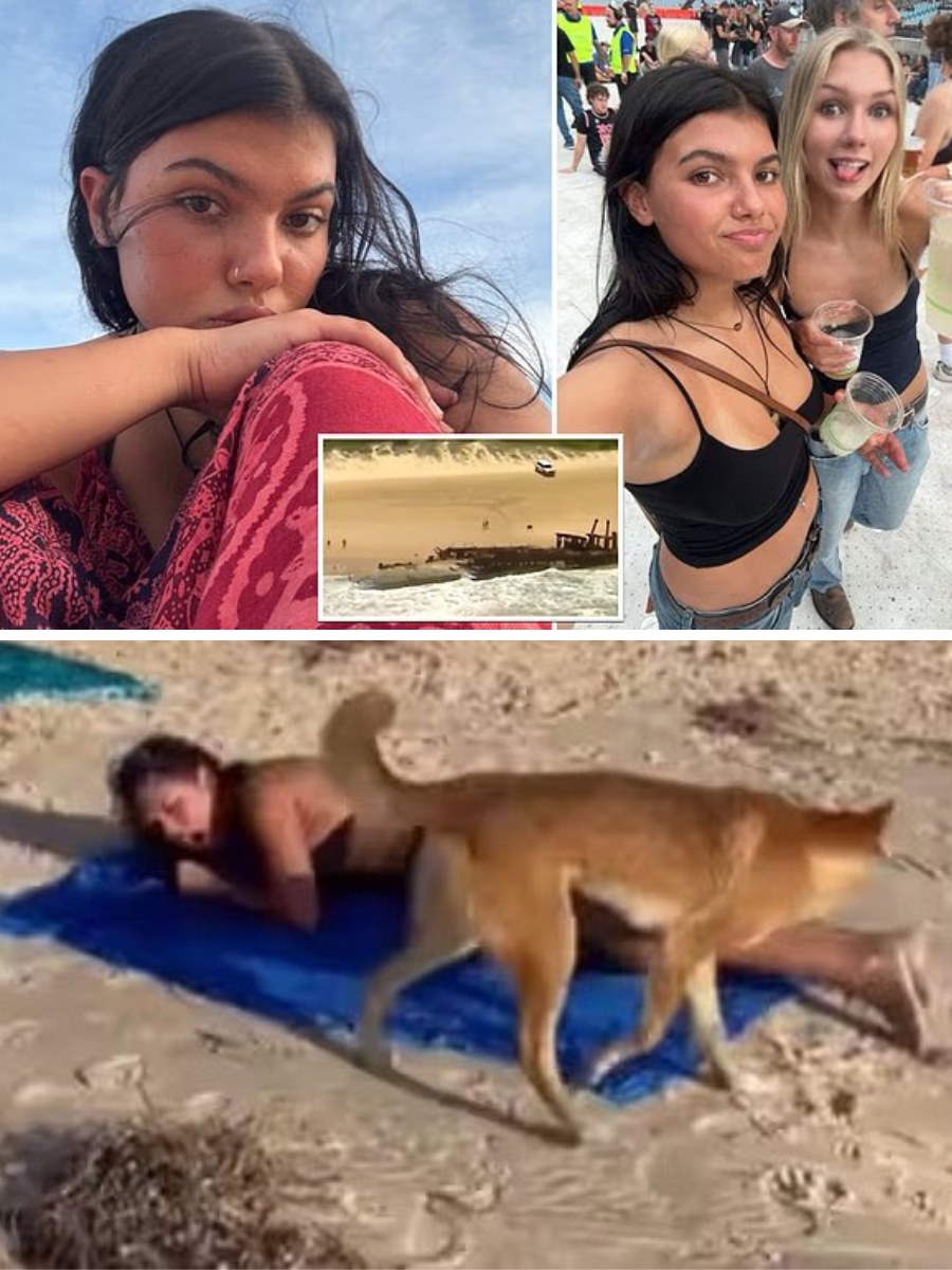 Autopsy Shock in Australia: New Findings Show Piper James’s Injuries Don’t Match a Stray Dog Attack — Severe Abnormalities Reveal a Far More Disturbing Cause of Death