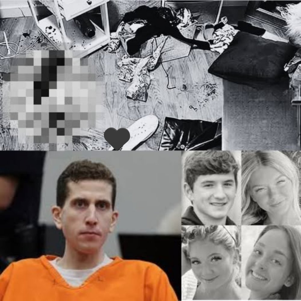 NEWS MAKING WAVES: A series of allegedly leaked images are revealing a chilling glimpse inside a house in Idaho — the site of an incident that has shocked the American public for a long time…