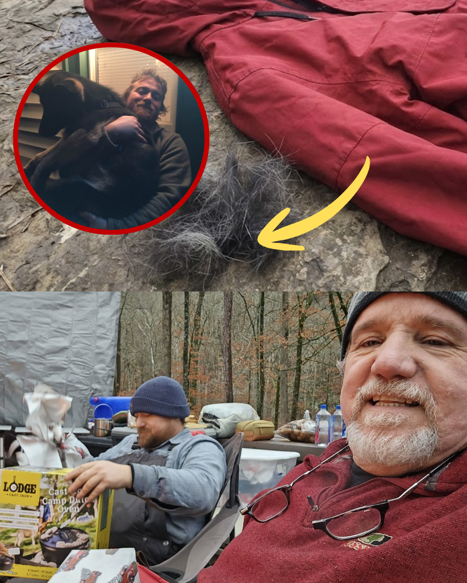 jUST FEW MINS AGO – The $10 Million Message That Shook the World. Who Really Has Chris Palmer? STAGED OR REAL? T