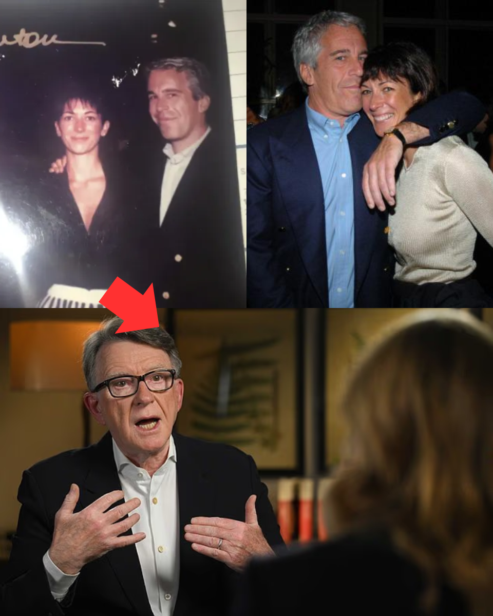 I HAVE NOTHING TO BE GUILTY FOR!’ Lord Mand;elson sparks global OUTRAGE as he uses ‘*** card’ to justify being BLI:ND to Jeffrey Epstein’s p;3d;ophi:le ri:ng – leaving ;victi:;ms ‘sic;ke:;n;ed’ by his refusal to apologise