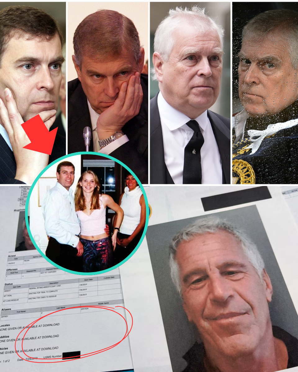 Remember when Andrew told the BBC he only met Epstein to “break off” their friendship? THE EMAILS SAY OTHERWISE.