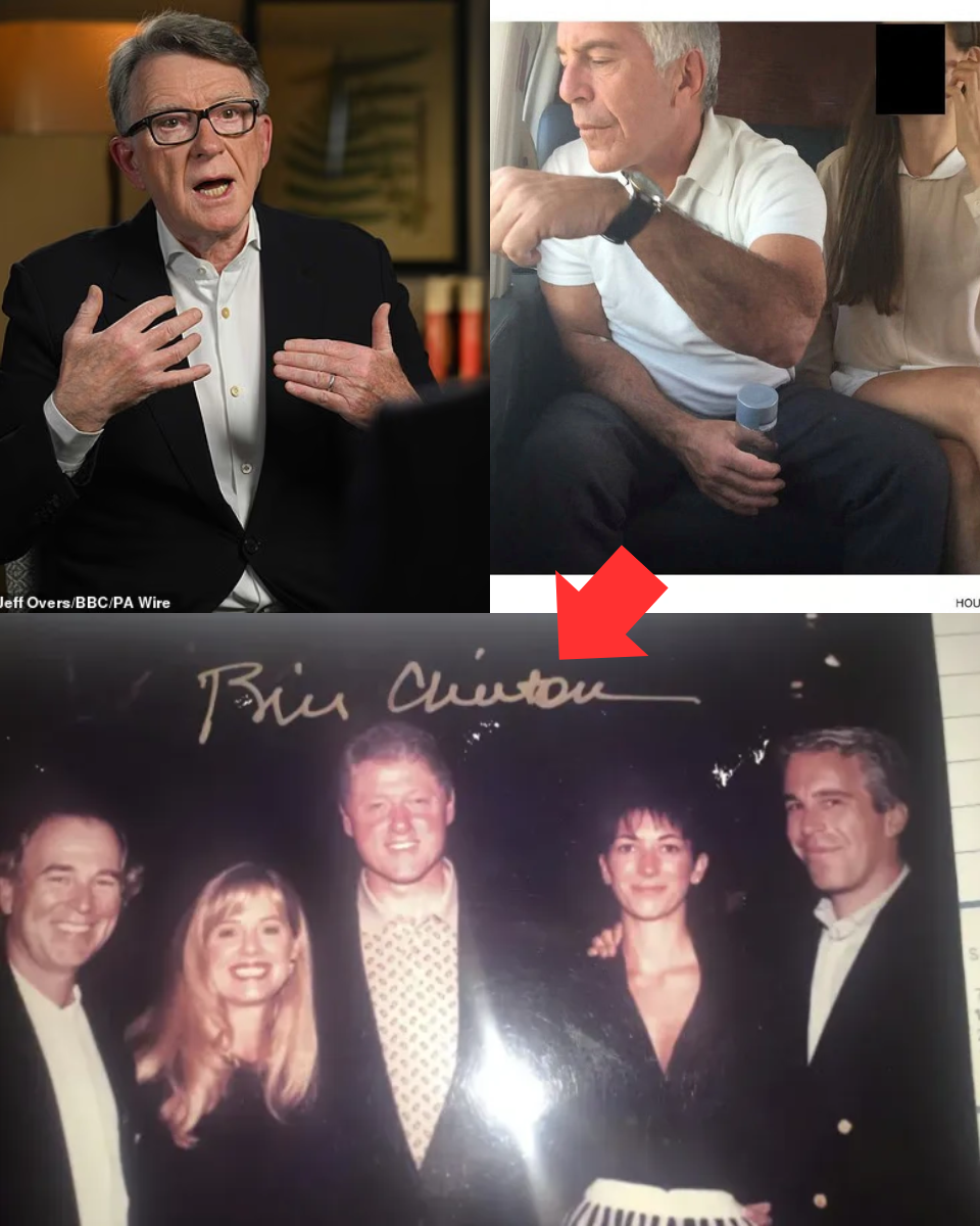 MAN;DELSON’S ‘*** CAR;D’ DEF;EN;CE: Sha;med Labour peer R;EFU;SES to apologise to Epstein’s victims – claiming he had NO ID:EA about fin;:ancie;r’s ‘v;;ile’ a;buse be;cause he’s not attr;acted to wo;men