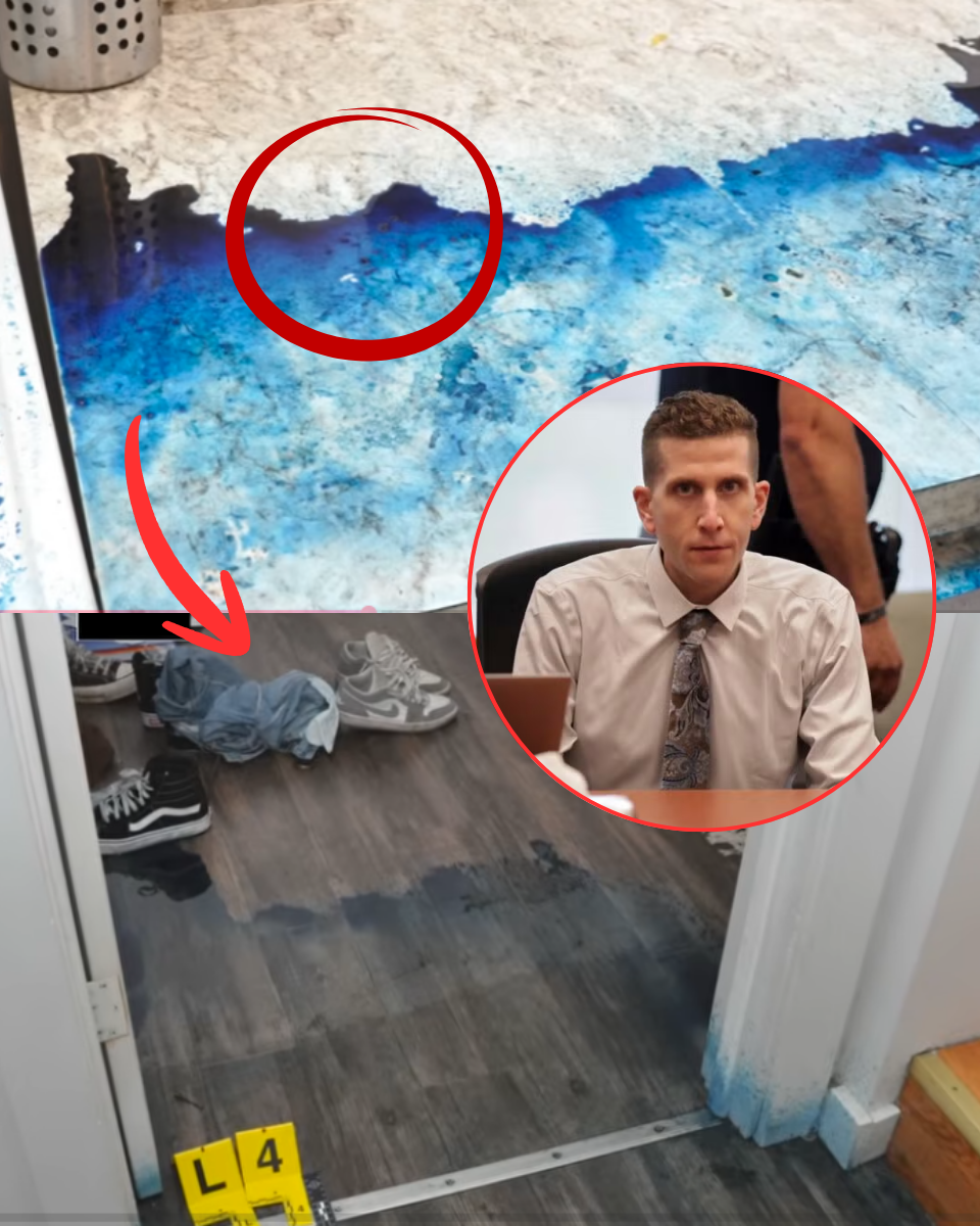 โITโS DISR;ES;PEC;TFUL AND GRO;;SS!โ Devastated families of Idaho 4 victims lash out at ‘monstrous’ release of new murder house photos โ as police finally admit why they ‘temporarily’ exposed the carnage to the world