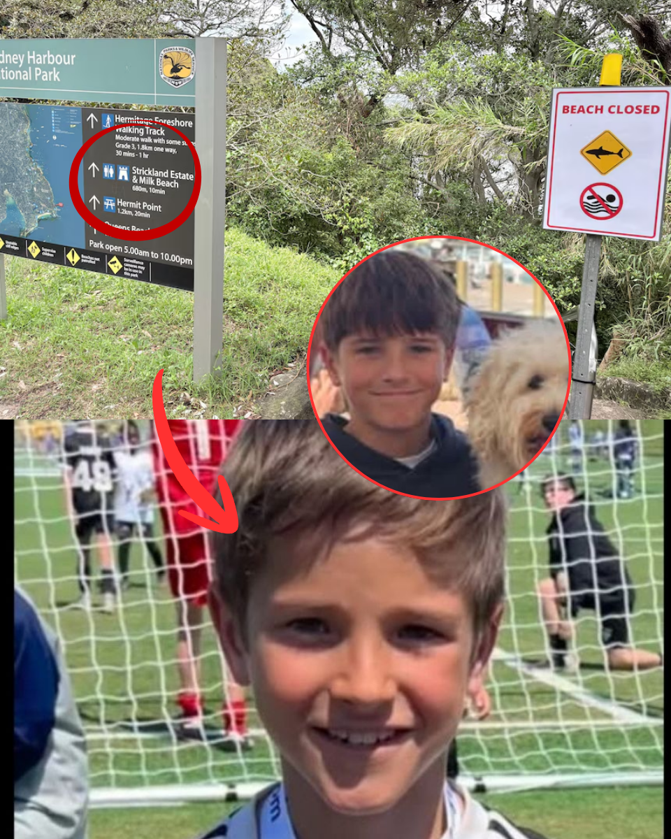 THE SMOKING GUN? The Terrifying Theory Behind Australia’s Recent Shark Spree.