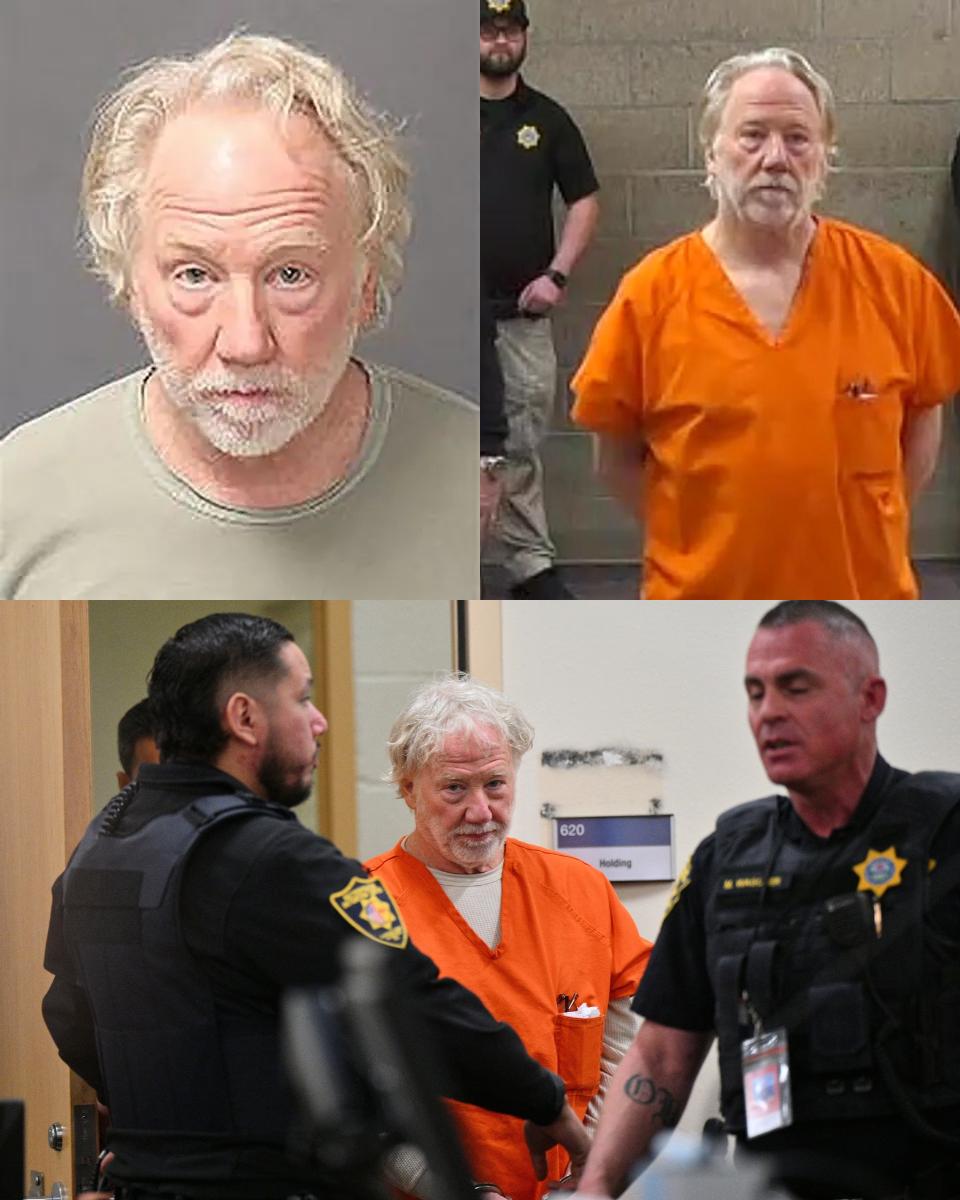BLOOD, TEARS AND BETRAYAL: Inside the ‘nightmare’ courtroom as Timothy Busfield is released pending trial – but will Melissa Gilbert’s ‘blind loyalty’ survive the arrival of a THIRD victim?