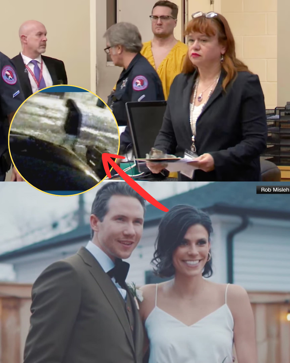 Tepe’s Case – 17 HOURS OF SILENCE. ONE REASON: MU;;RD;;ER.  The Michael McKee update is here, and it’s absolute nightmare fuel