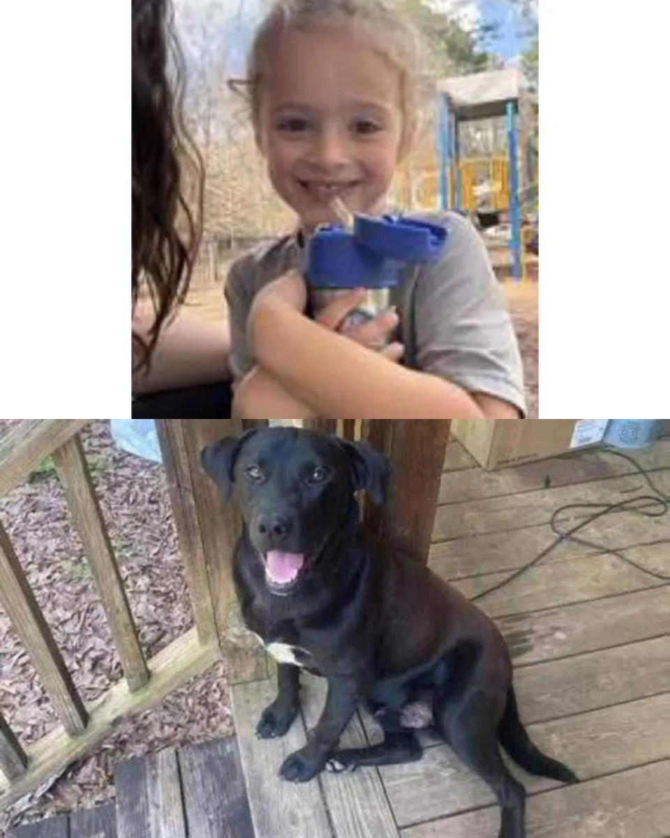 URGENT WARNING: A costly lesson has just happened! A 4-year-old boy has vanished without a trace in an instant.