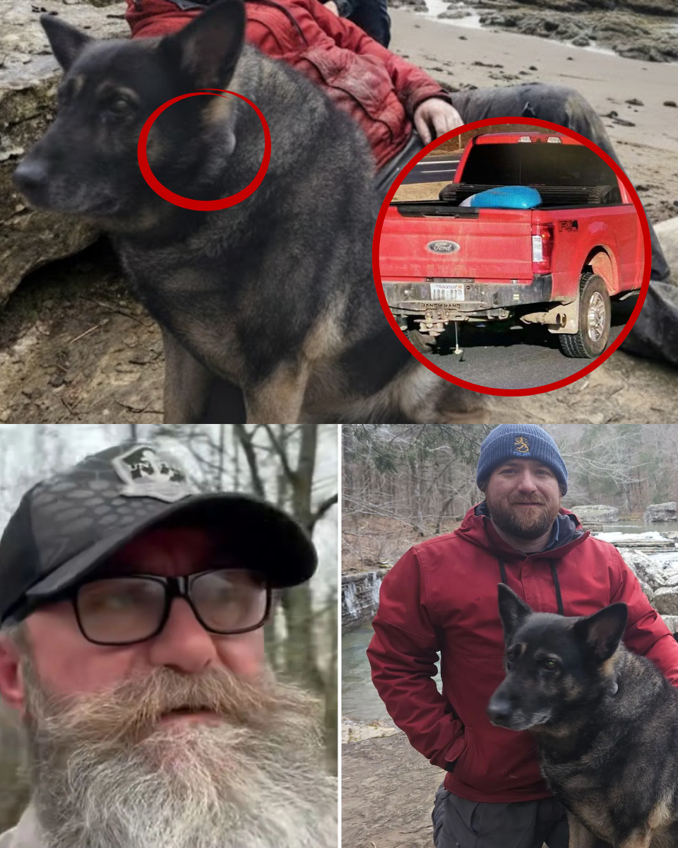 “THE TRUCK WAS A DISTRACTION”: Chilling New Discovery in Chris Palmer Case Suggests Foul Play.