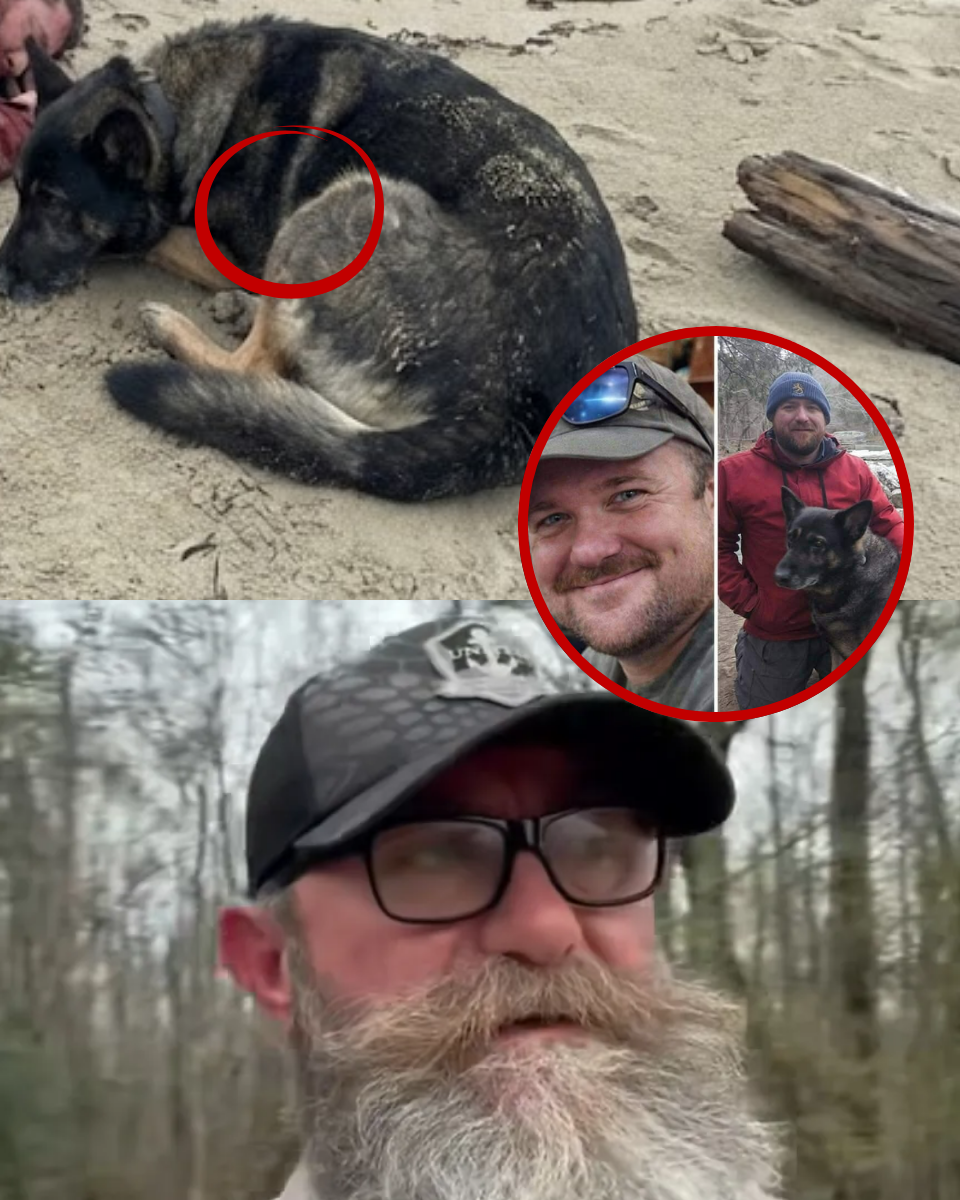 THE SILENT WITNESS: Zoey Is Home, But She’s 125 Miles from Where Chris Vanished. What Did She See?