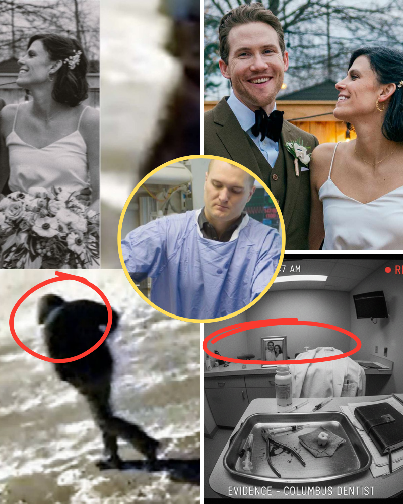 URGENT UPDATE: Police are gathering more crucial documents about the doctor facing charges of murdering his ex-wife, revealing a medical malpractice lawsuit that occurred three months prior. Witnesses say, “He disappeared without a trace.” New allegations from nurses and patients’ families continue to emergeโฆ