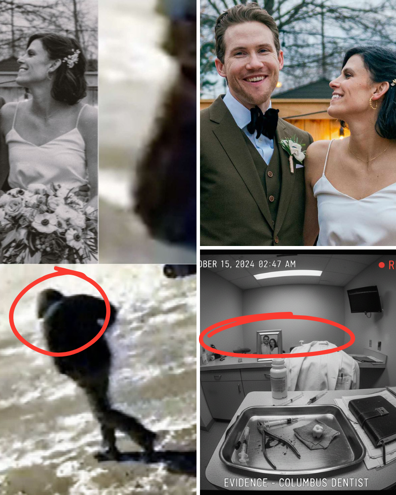 LATEST: “The forgotten chi/ld” — a key detail helping Ohio police uncover the true motive behind the murder of the dentist couple