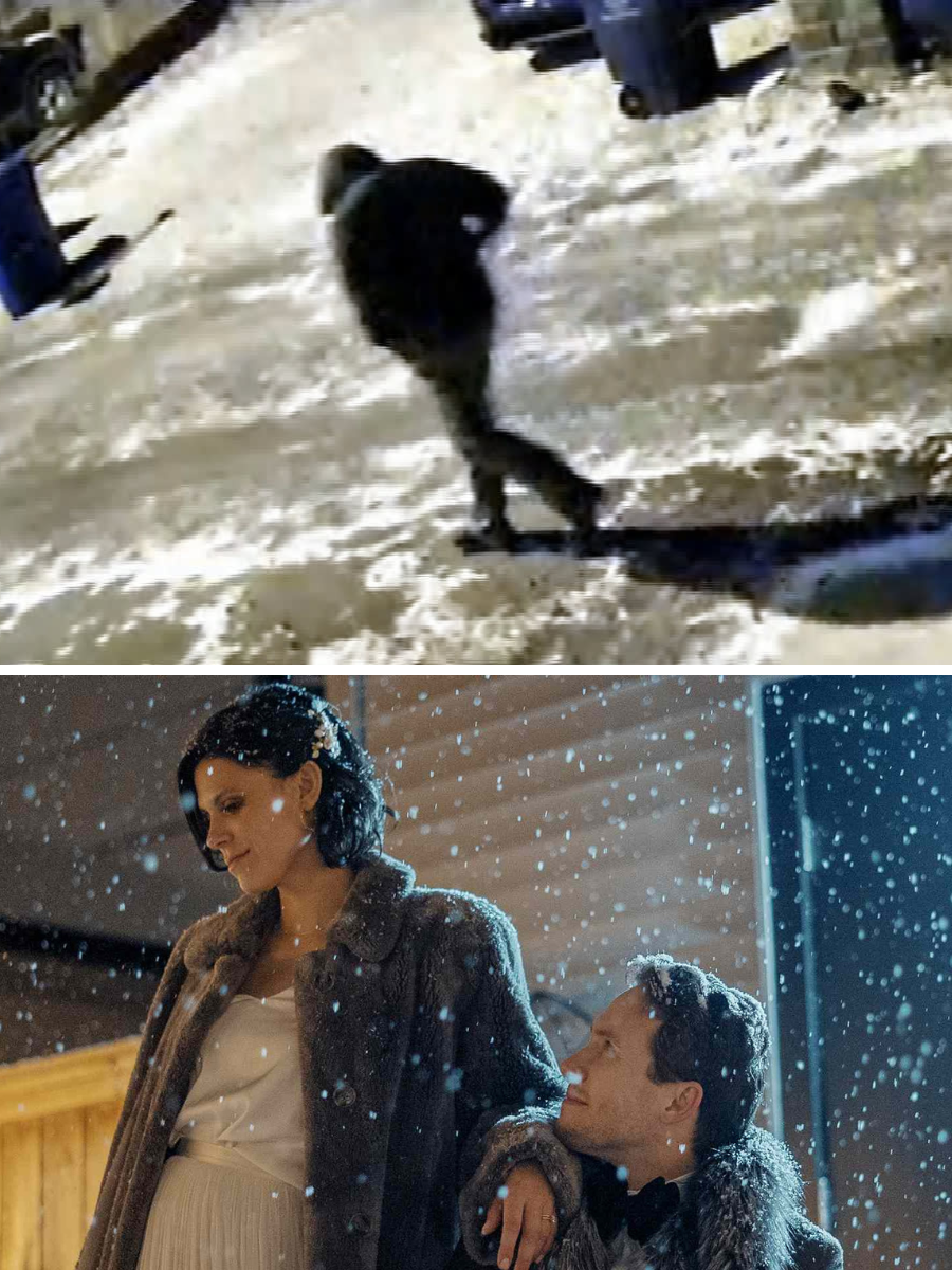 Just minutes ago police confirmed a disturbing contradiction in the hours before the Tepe deaths and it has left investigators questioning who was actually in danger first…