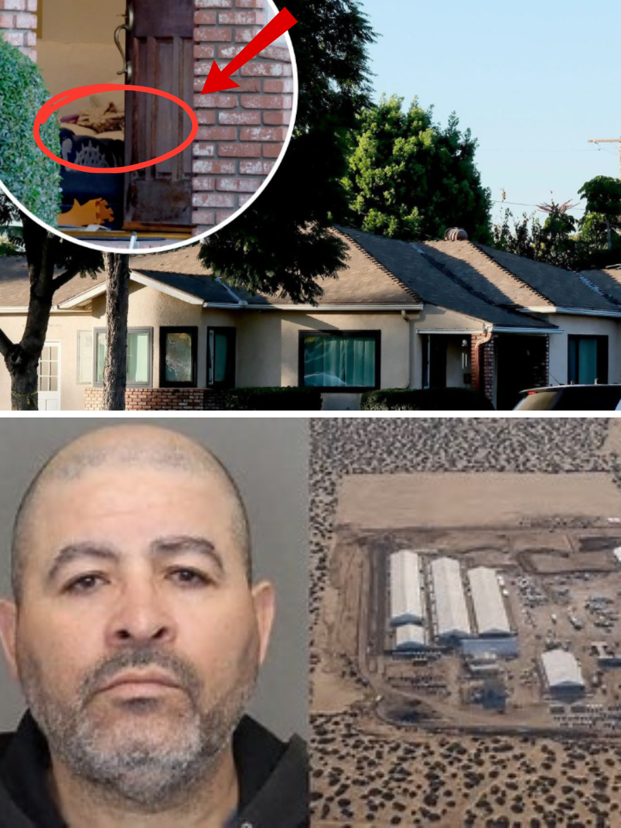 Neighbors Reveal Three Chilling Details About Hector Lionel Alfaro — The Lakewood Man Who Killed His Wife and Daughter Before Turning the Gun on Himself…