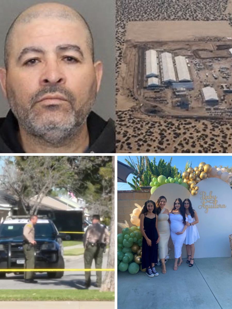 911 Callers’ Accounts Paint a More Chaotic Scene Than Previously Told — Could New Audio Shift the Narrative on Renee Good’s Death?