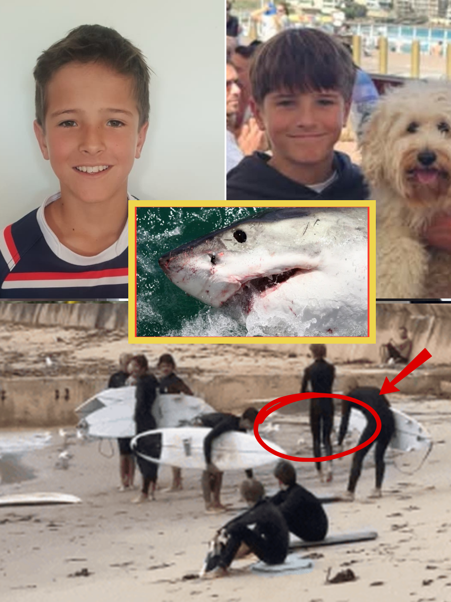 Exclusive news from Sydney: Doctors release alarming information about 12-year-old boy after shark attack off the coast—Family warns of very poor prognosis and reveals worst-case scenario…