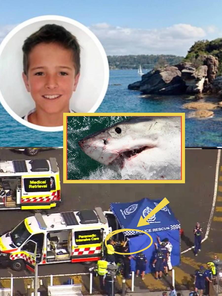 Will a miracle happen for the 12-year-old boy bitten by a shark in Sydney?  His family was facing the “worst-case scenario” and preparing to say their final goodbyes when doctors
