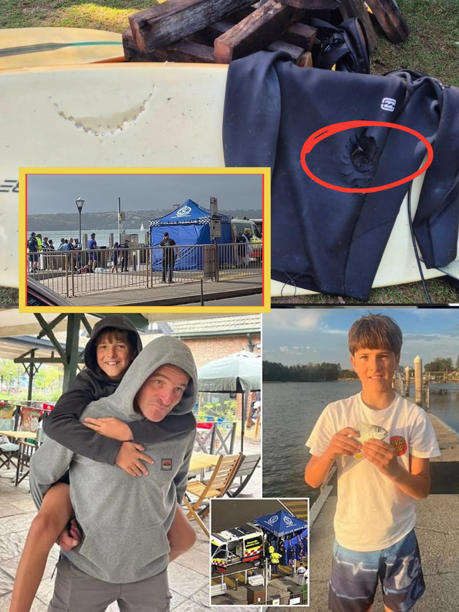 Heartbreaking: Doctors reveal the last words of a 12-year-old boy before falling into a coma after being bitten by a shark in Australia