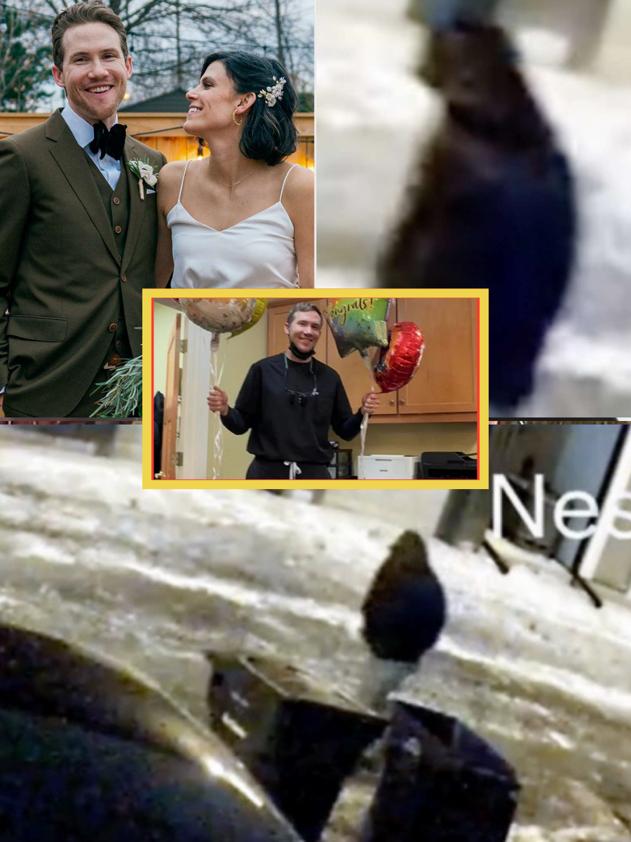 Just now: Investigators have quietly revealed the origin of the gun used in the crime and explained why the gunshot wounds to the two victims were not the same…