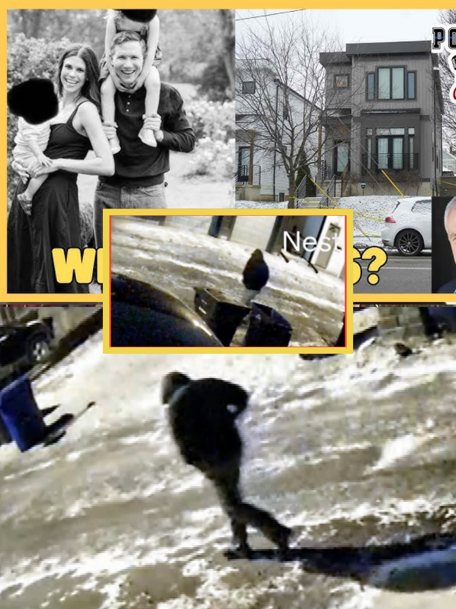 Breaking news: The perpetrator has been identified and is currently near the dentist’s parents’ home in Ohio; his actions are posing an alarming threat to the dentist and his wife’s two children…