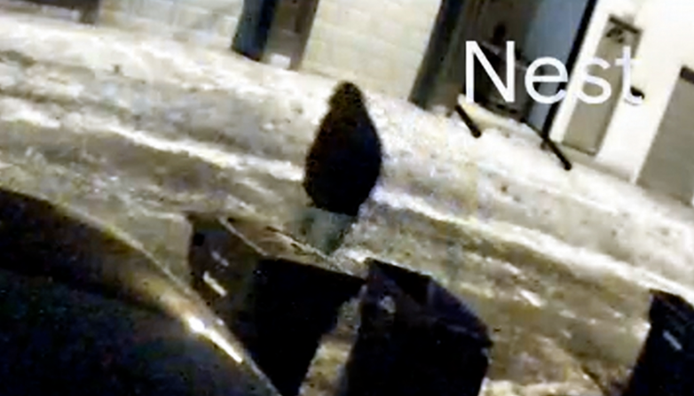 Breaking: Police release video of the suspect in the murder of Spencer and Monique Tepe; a shockingly familiar identity