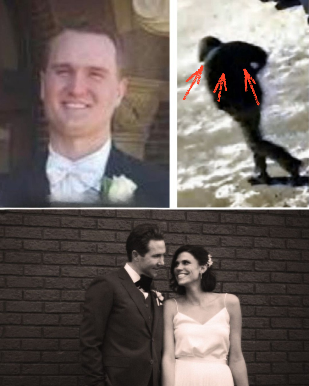 Monique Tepe Murder Case: Police Find Clues to the “Trigger” That Driven Her Ex-Husband, the Doctor, Mad