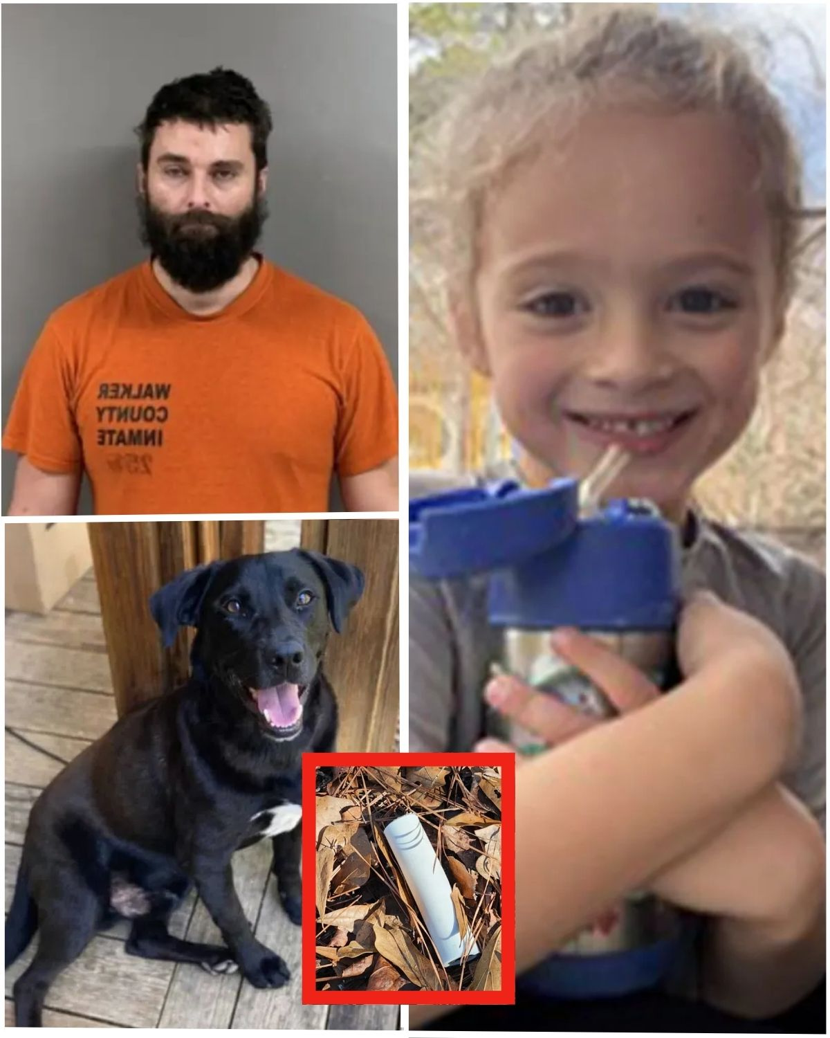 Heartbreaking new details have emerged in the case of the missing Florida boy who was found de@d next to his dog as his father faces charges for allegedly making explosives…