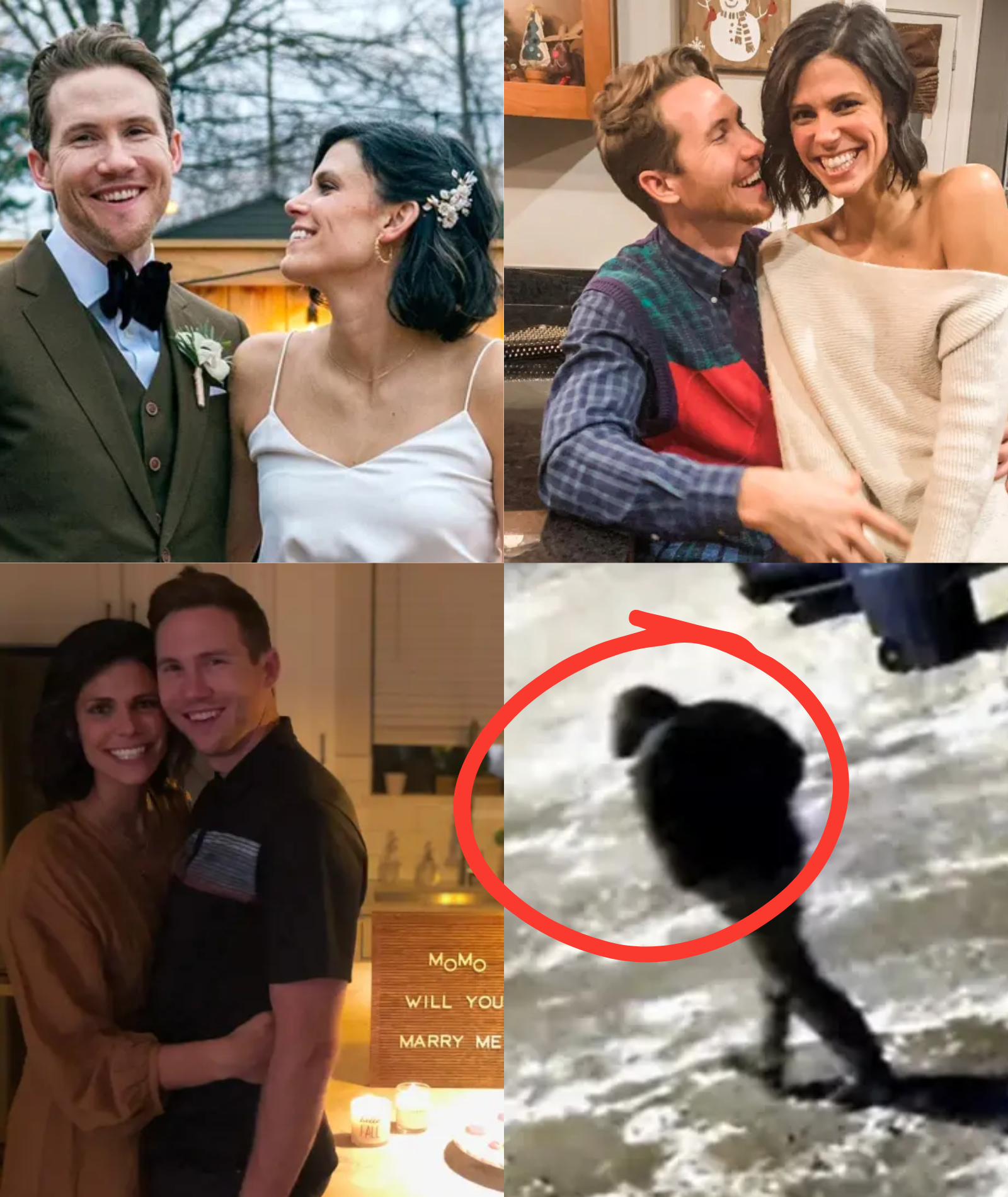 “OFFICIAL: The ki:l:l:er in the murder of the dentist couple has been identified — shockingly, it was none other than someone they knew. The latest details have now em:erged…”