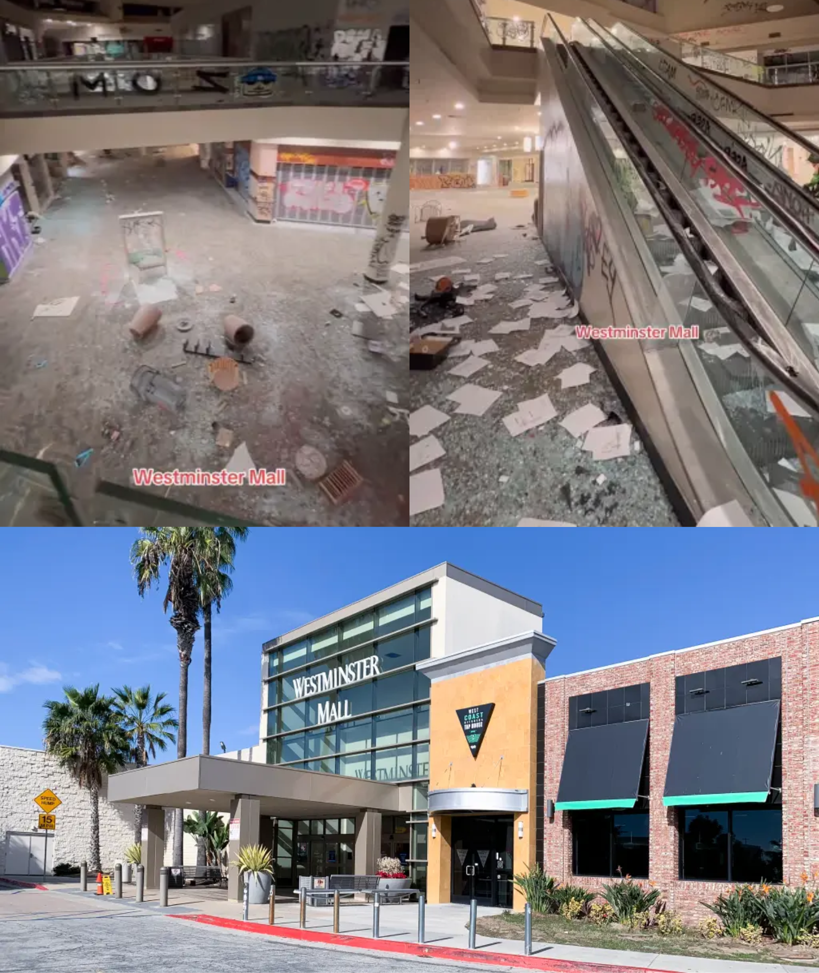 THE WHOLE COUNTRY IS SH:O:CKED: Sh:o:cking images show a California shopping mall devastated by vandals in a post-apocalyptic state — police have been called