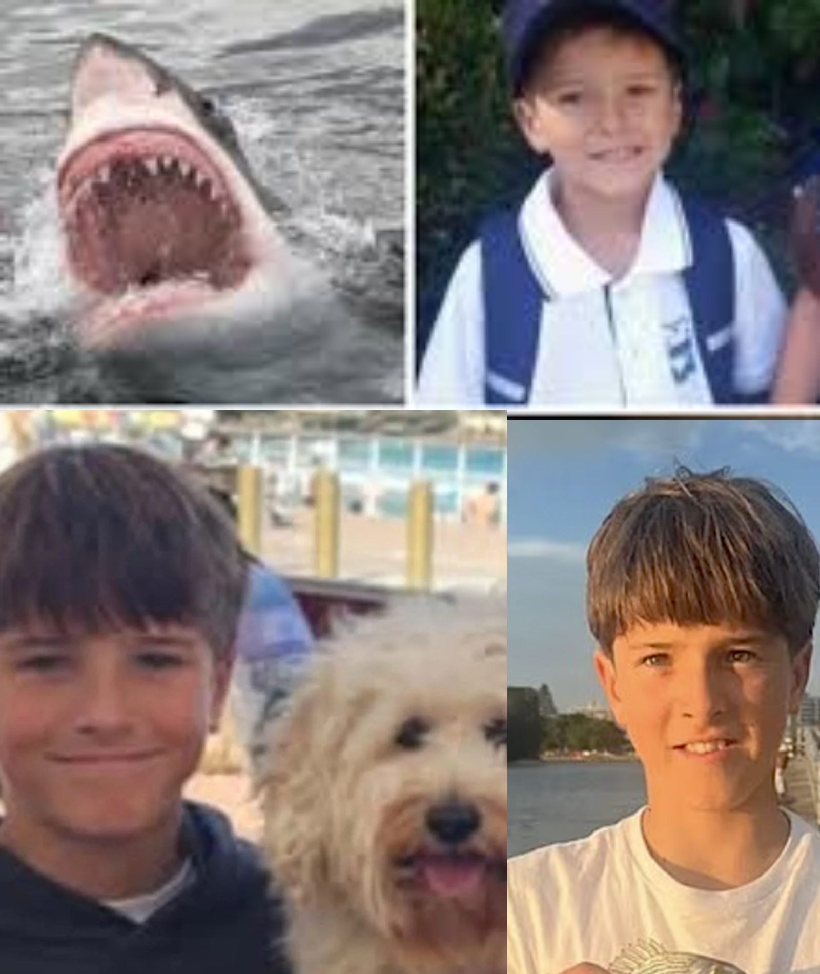 Nico Antic, 12, d;;i;;ed in hospital after being attacked by a shark in Sydney, and his phone was found containing a CRUCIAL two-minute audio recording