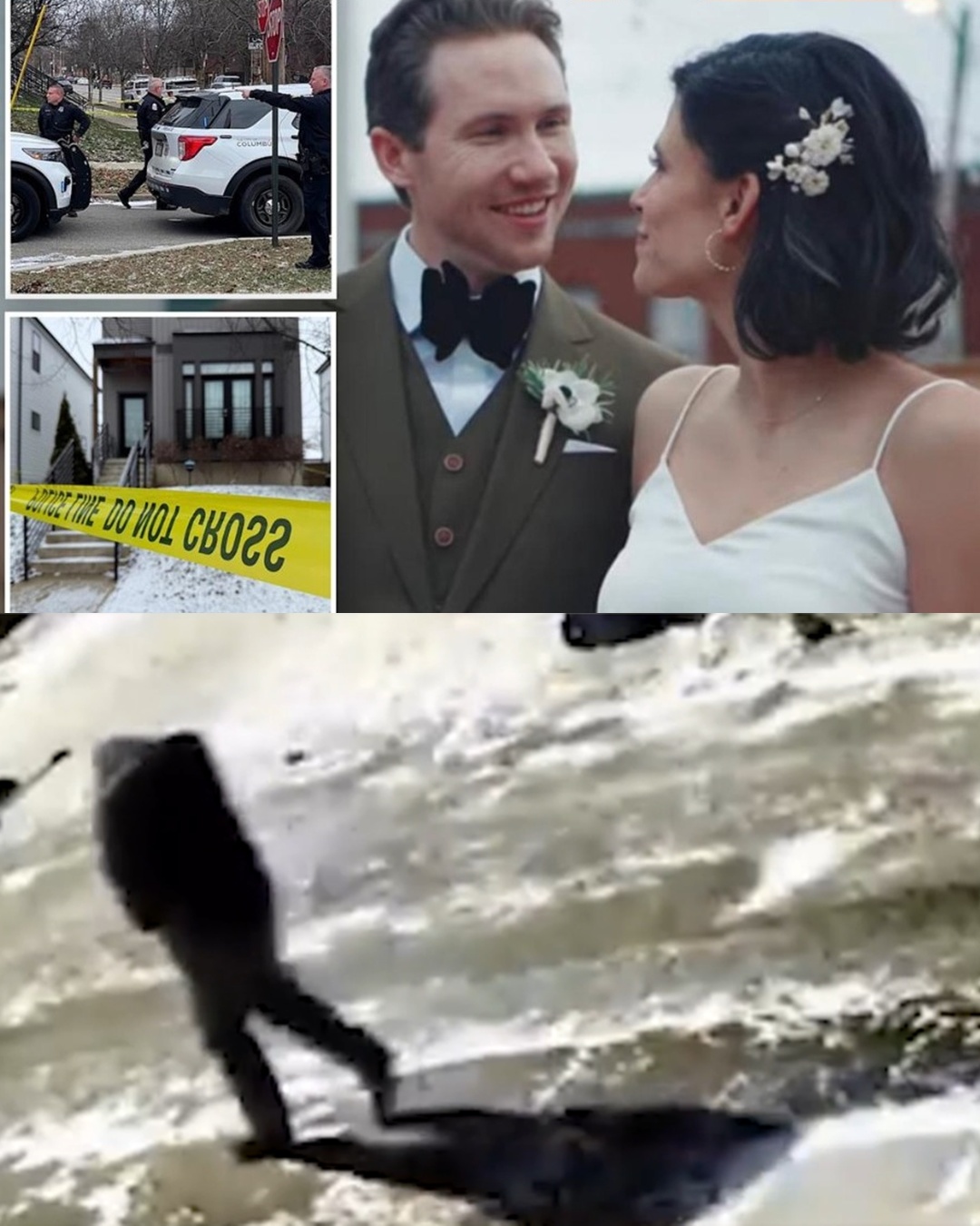 Beyond Absurd: Slain Dentist’s Family Denies Camera Leads Amidst Crucial Reveal from Investigators