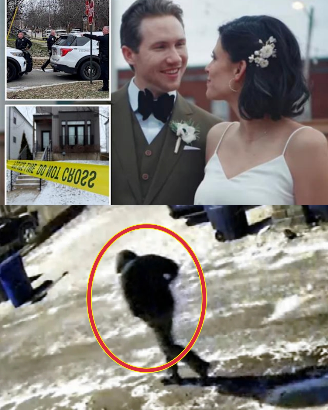 JUST REVEALED: Authorities disclose ha::unting causes of dea::th in the murder of a dentist and his wife — what was happening inside the home is devastating