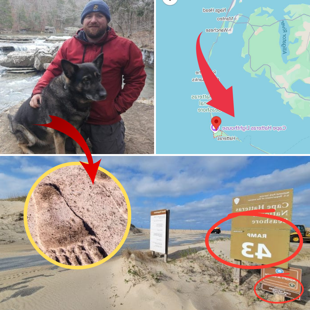 SURPRISE: Chris Palmer’s disappearance with his dog Zoey HAS REVEALED: Footage and a moment of police “silence”: Did this small detail change the direction of the investigation? The MYSTERY IN THE SAND is the reason they no longer believe the original story…