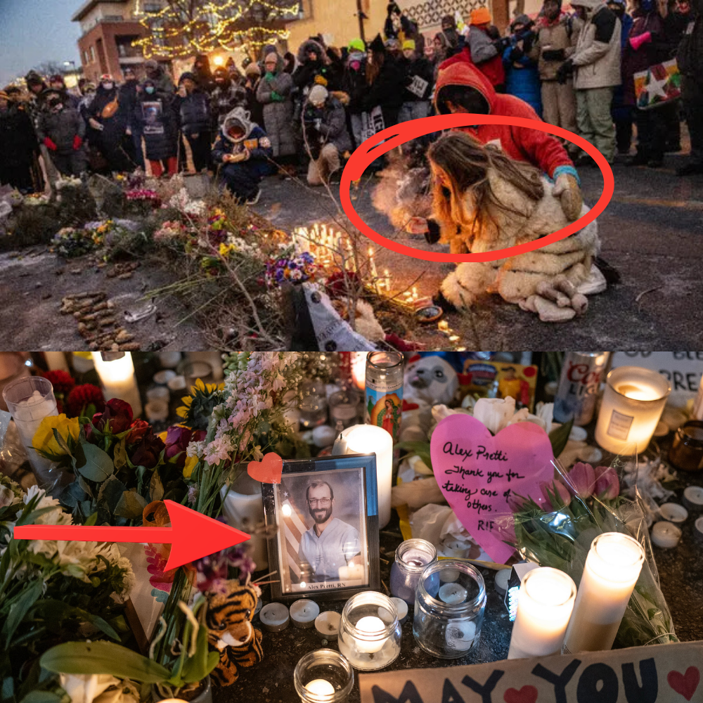 Inside Alex Pretti’s Family: The Parents, Sister, and Ex-Wife Now Thrust Into the Spotlight…