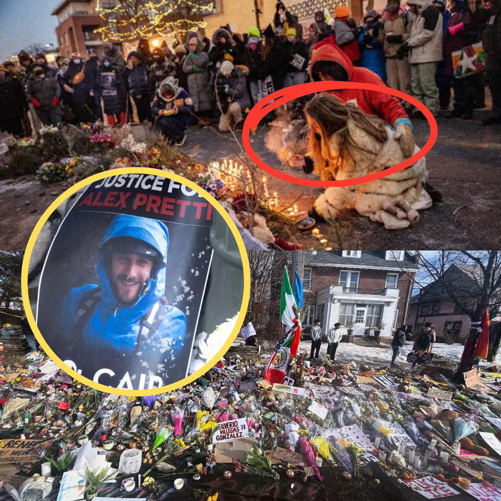 “They Never Asked for This” – Inside Alex Pretti’s Family as the Case Takes a New Turn