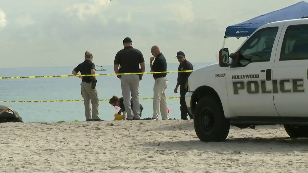 A body found near a remote coastal estuary has prompted urgent DNA testing. Sources say Palmer’s case file was reopened within minutes