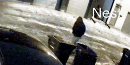 3 minutes ago: Neighbors of dentist Spencer Tepe unexpectedly reported seeing Monique Tepe’s ex-husband frequently standing in front of their gate a week before the crime occurred