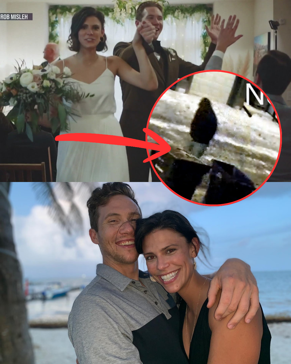 MYSTERY OF THE “LOCKED ROOM”: KILLER BROKE INTO DENTIST’S HOME WITHOUT BREAKING DOOR, DASHCAM DETECTED SUSPECT