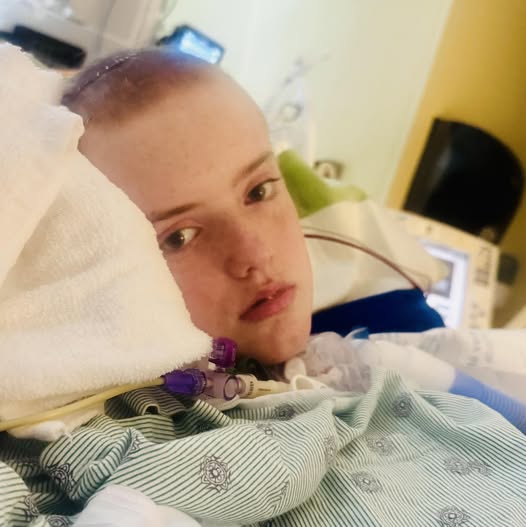 Police Confirm Dilynn Turner’s Death Was Not an Accident — Investigators Reveal a Motive That Has Left Her Family Stunned… 👇👇