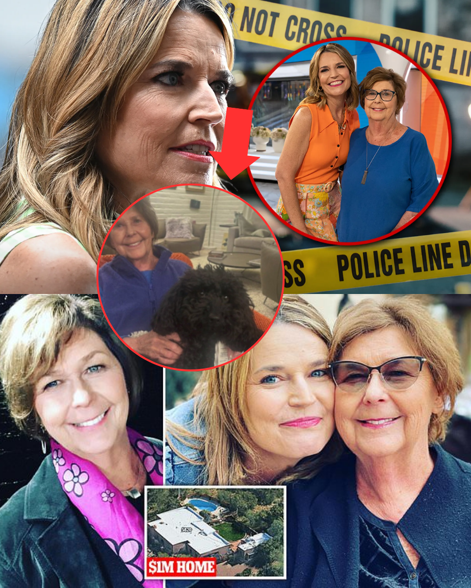 1 MIN AGO: What did police find inside Nancy Guthrie’s home that changed everything? – CRIME SCENE DECLARED