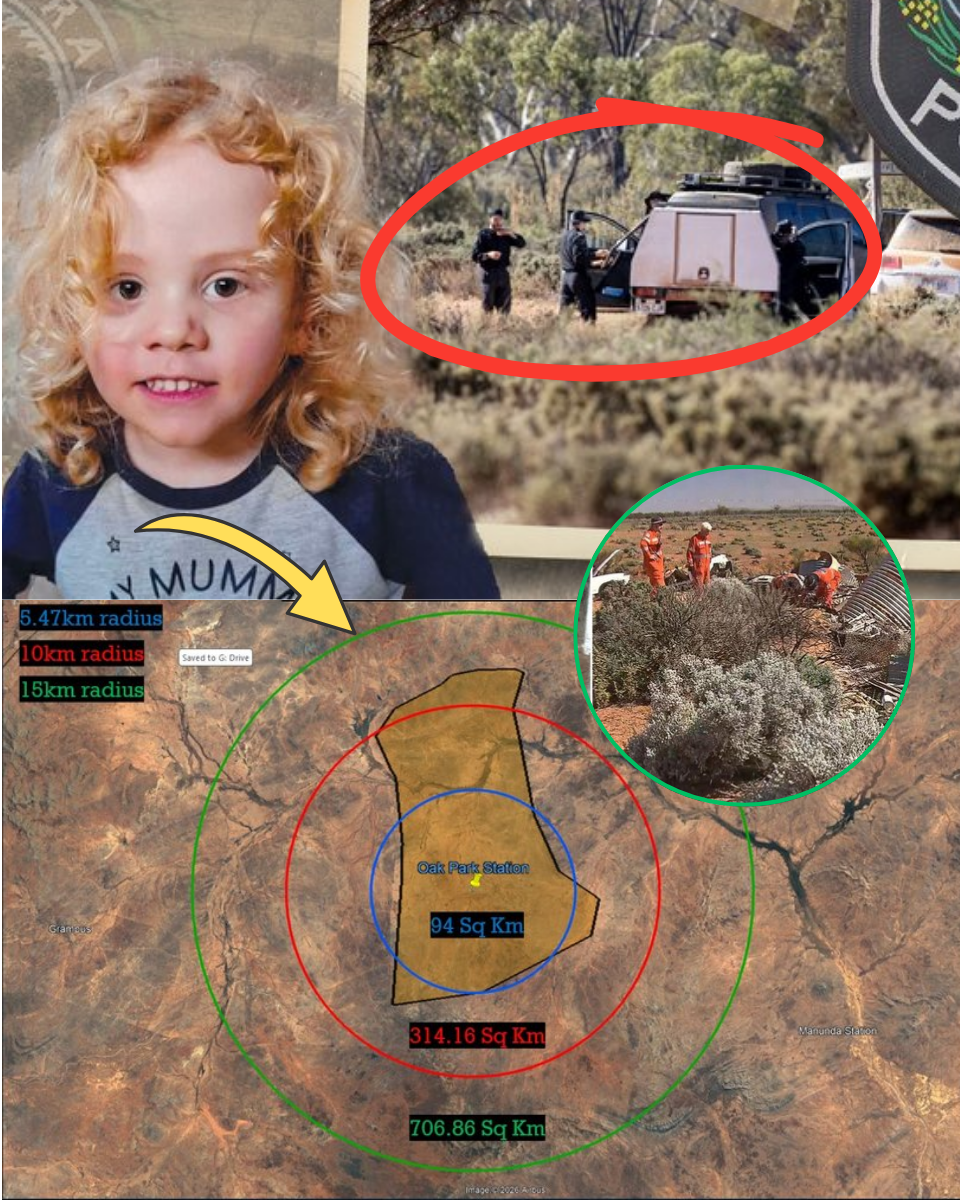 BREAKING: Police Name ‘Household Suspect’ In Disappearance Of 4-Year-Old Gus Lamont As Investigation Takes A Sinister Turn