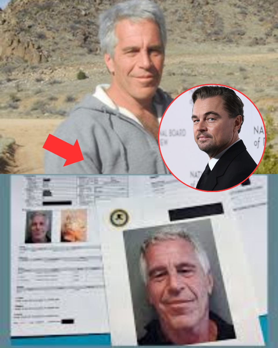 EPSTEIN’S FINAL SECRETS –  The “Black Book” was just the beginning