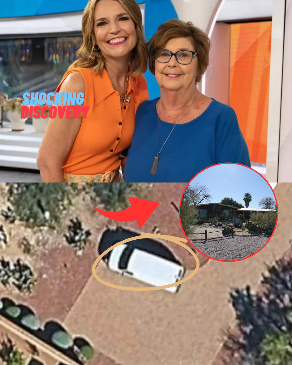 Why Did the FBI Miss the White Van for 7 Days? Statistical Proof Suggests 85% of Staged Kidnappings Use Local ‘Safe Houses’!