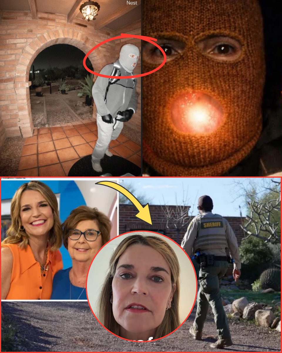 Unbelievable, the FBI MISSED IT! Re-Examining the First 48 Hours—Did an ‘Inside Agent’ Sabotage the Initial Search While Savannah Was Kept in the Dark